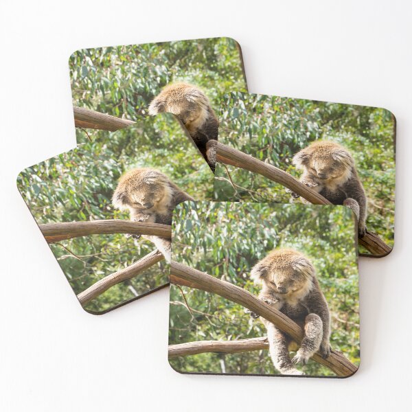 Item preview, Koala, with legs dangling, in tree limb. designed and sold by Anne Scantlebury.