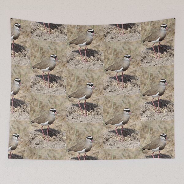 Item preview, Crowned Plover, Kenya   designed and sold by Carole-Anne.