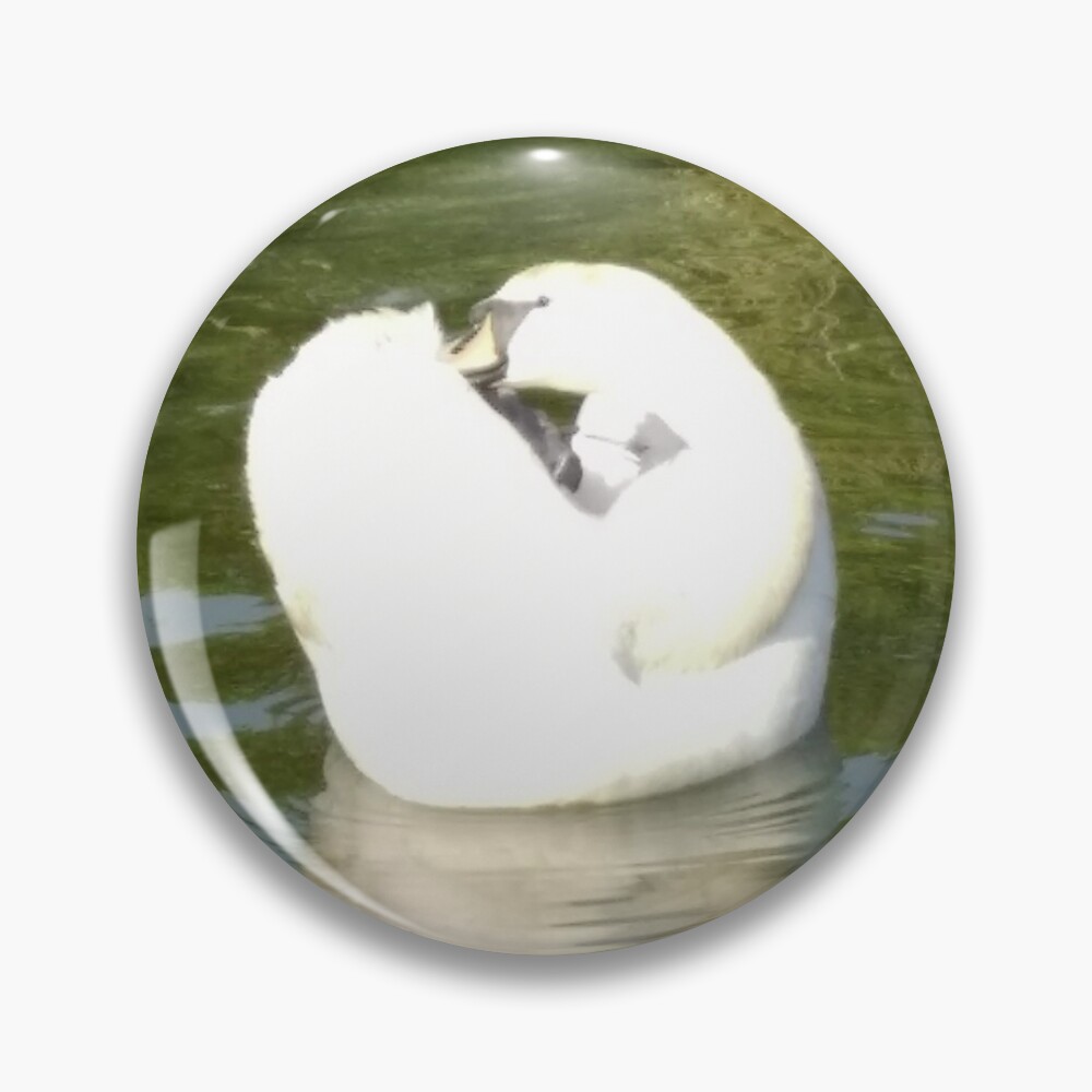 M.I. #67 |☼| Swan - Shot 25 (Pearson Park) Pin