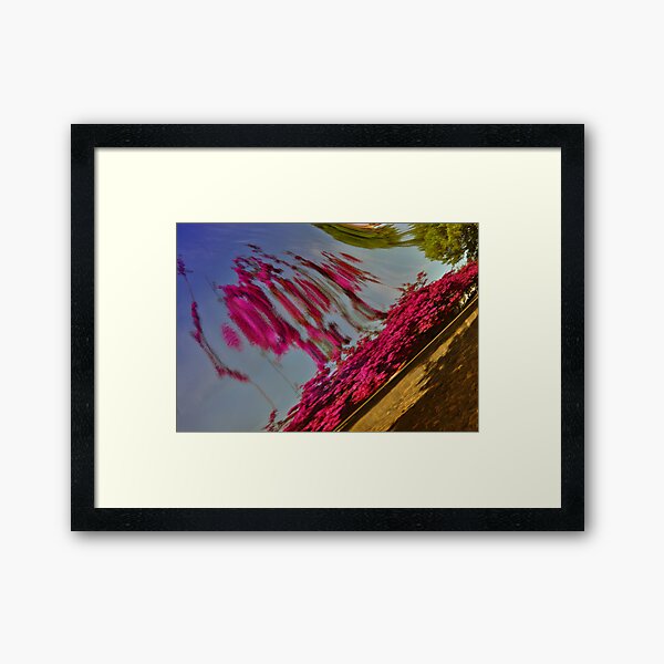 Car Reflections Framed Art Print