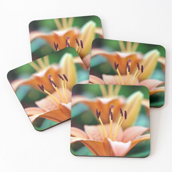 Item preview, Asiatic Lily designed and sold by Patman61.