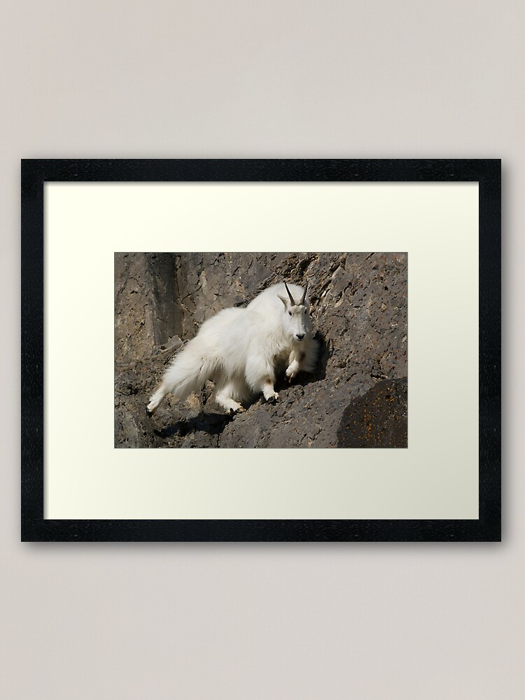 Alternate view of My Vertical World Framed Art Print