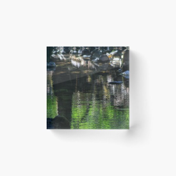 Item preview, A Lush Green Creek with Rocks and Reflections designed and sold by LemonsandInk.