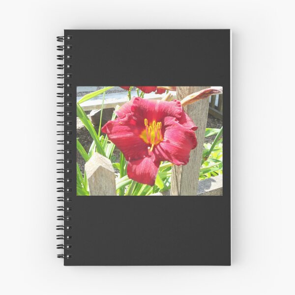Item preview, Gorgeous Tahitian Hibiscus, Photo designed and sold by GKstudio.