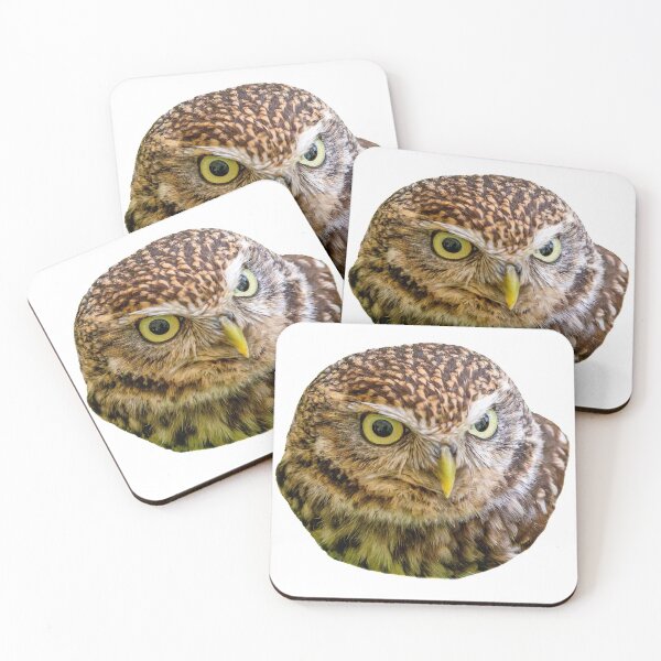 Item preview, Face of a Little owl designed and sold by Dalyndigital Photography.