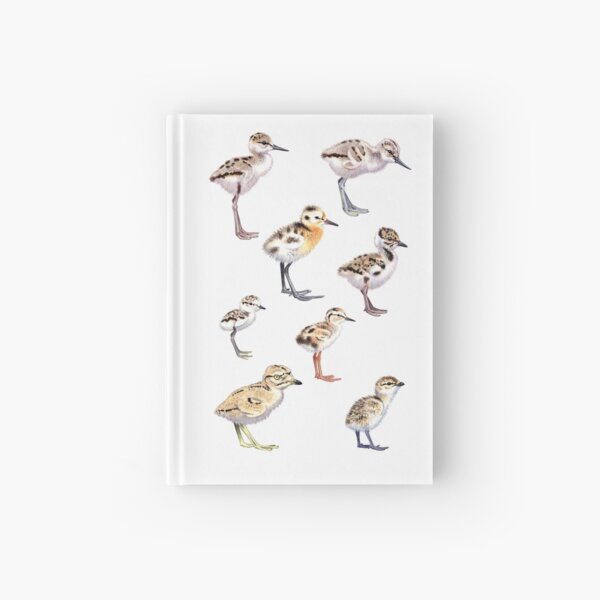 Aperçu de l'œuvre Poussins d'oiseaux de rivage créée et vendue par kokayart.