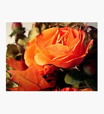 In the Autumn light ^ Photographic Print