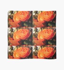 In the Autumn light ^ Scarf