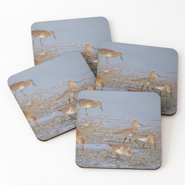 Item preview, Juvenile Shorebirds designed and sold by kokayart.