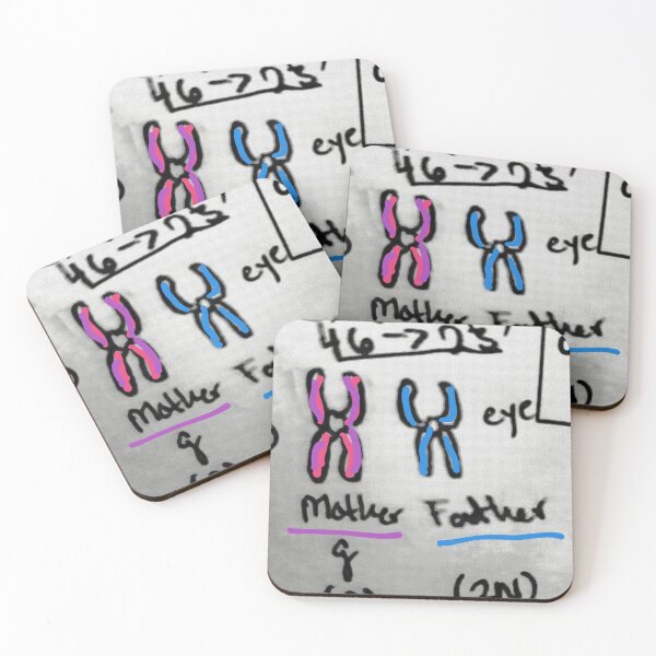 Item preview, Biology study Chromatids pair designed and sold by MonaLyon21.