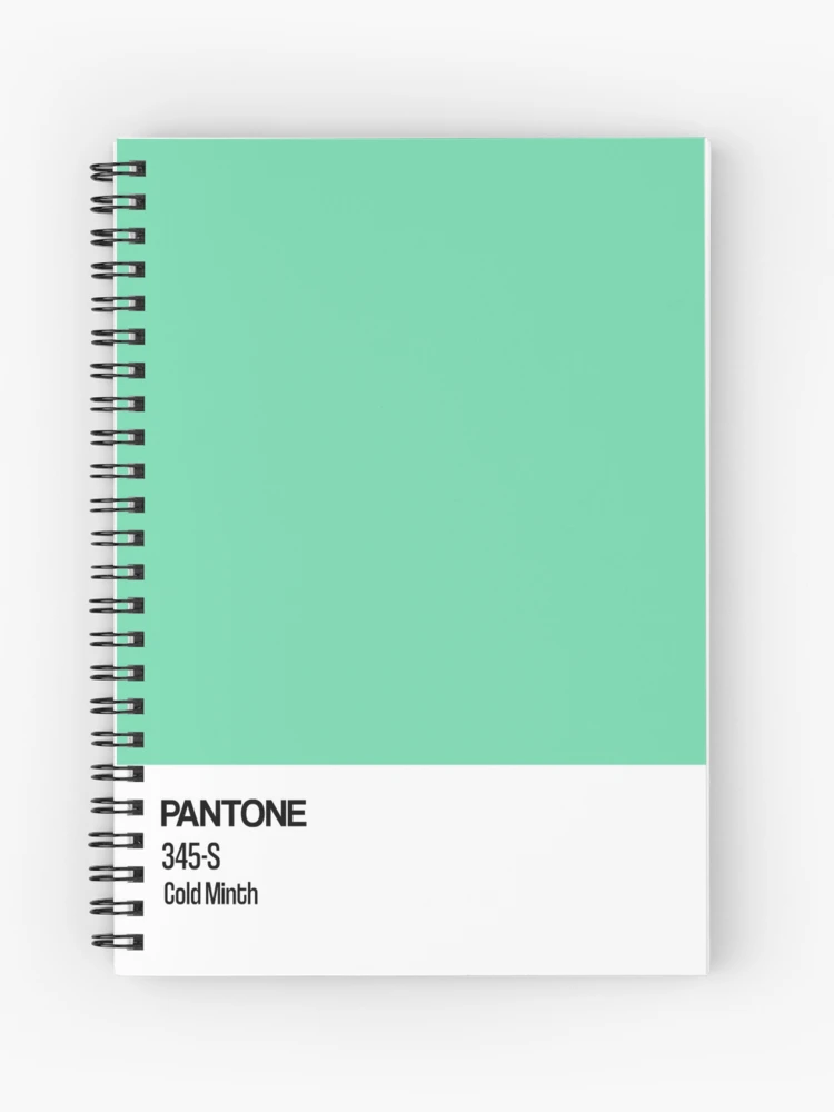 Mint Green Pantone Themed Notebook 365 Pages Daily Planner