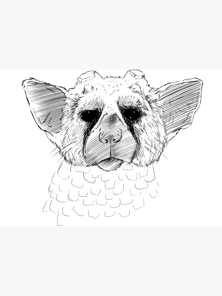 Trico from the last guardian  Greeting Card for Sale by Giulialibard