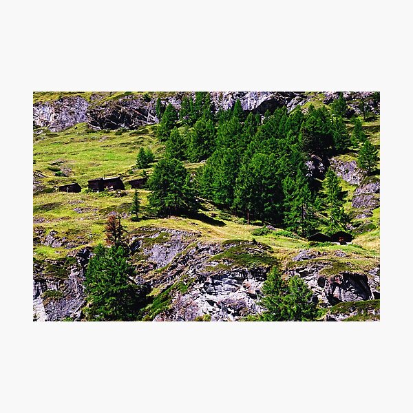 Photographic Print