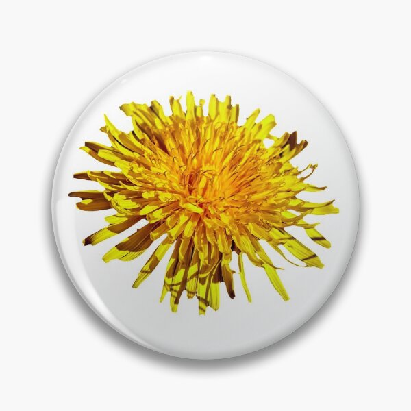 Item preview, Dandelion flower designed and sold by Dalyndigital Photography.