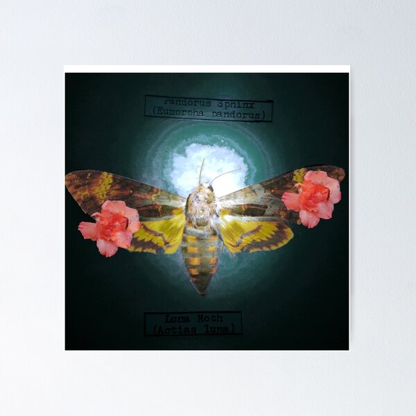 Item preview, Death Moth Floral designed and sold by chemicalcrucifx.