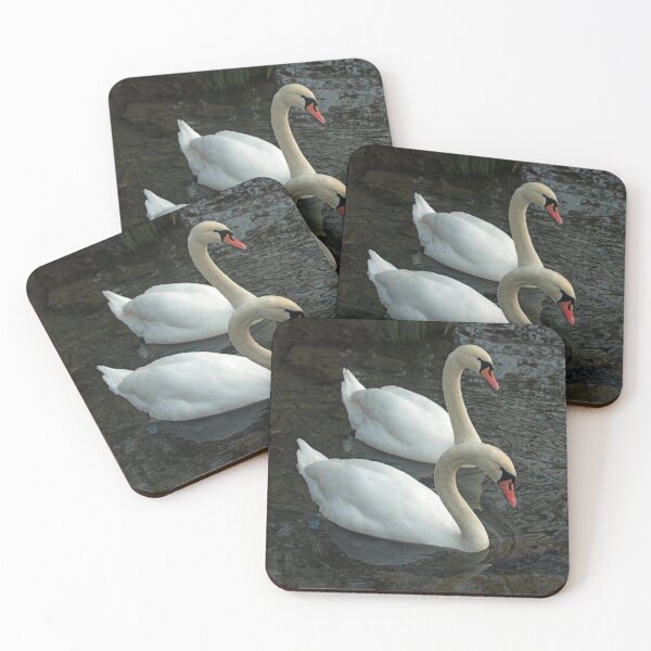 Item preview, Dos cisnes juntos nadando en un lago designed and sold by Cameranick.