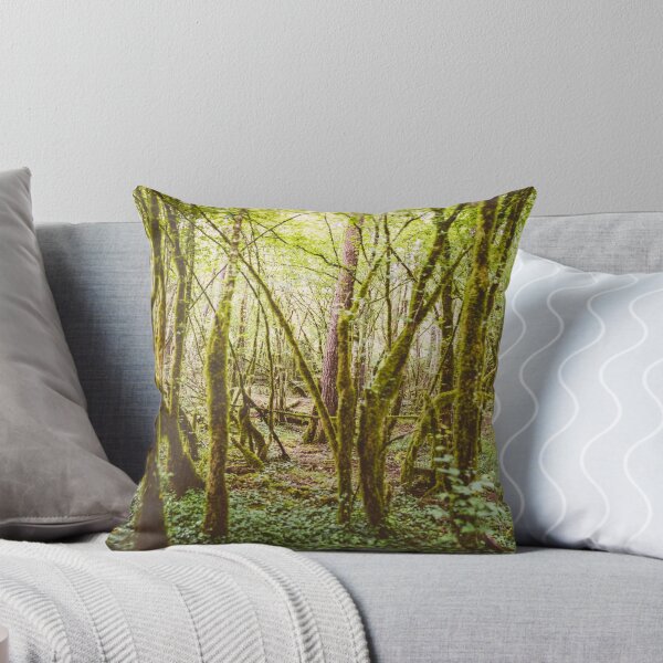 Item preview, Ardennes Forrest Panorama – Belgium designed and sold by lesslinear.