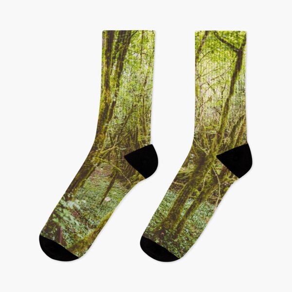 Item preview, Ardennes Forrest Panorama – Belgium designed and sold by lesslinear.