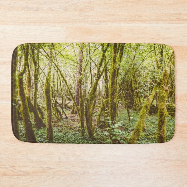 Item preview, Ardennes Forrest Panorama – Belgium designed and sold by lesslinear.