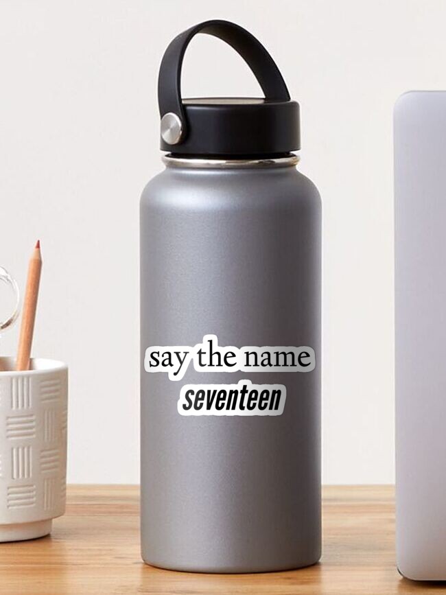 say the name seventeen | Sticker