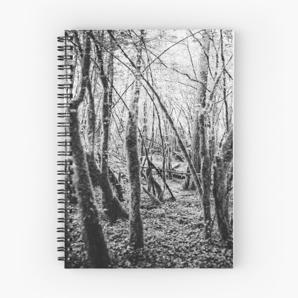 Item preview, Ardennes Forrest Panorama BW – Belgium designed and sold by lesslinear.