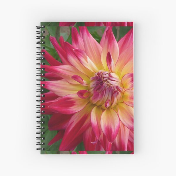 Dahlia #24 Spiral Notebook