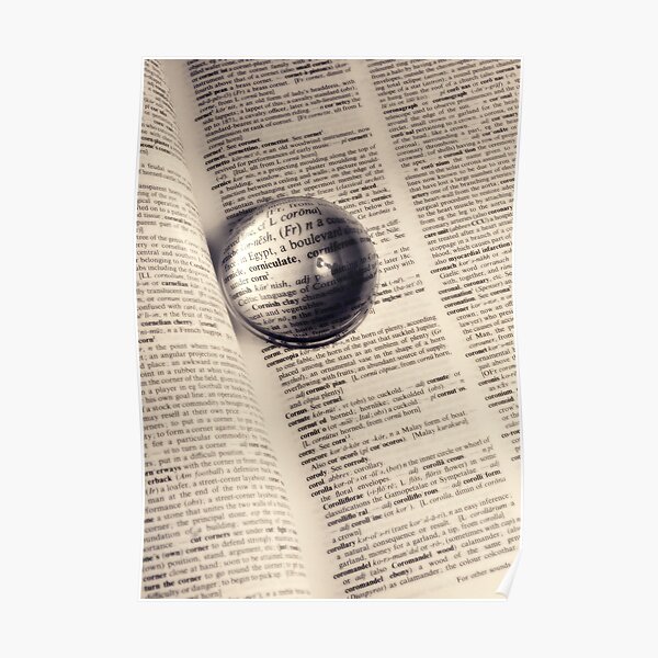 Checking the dictionary I Poster