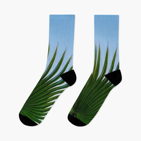 Item preview, Palm tree fan leaf designed and sold by iCimages.net.