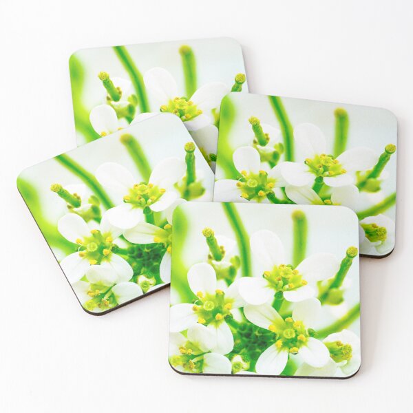 Item preview, White Flowers designed and sold by Gary Chadbond Photography.