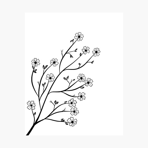 Flower Line Drawing PNG Vector PSD and Clipart With Transparent  Background for Free Download  Pngtree
