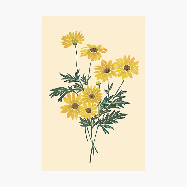 Amazing Vintage Retro Yellow Flowers Sunflowers Photographic Print