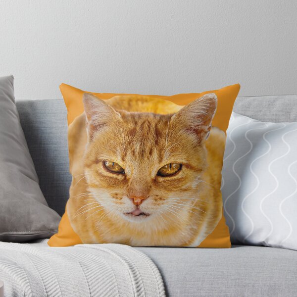 Item preview, Ginger Tom Cat designed and sold by Dalyndigital Photography.