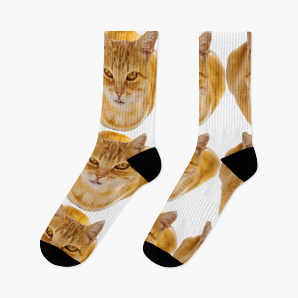 Item preview, Ginger Tom Cat designed and sold by Dalyndigital Photography.