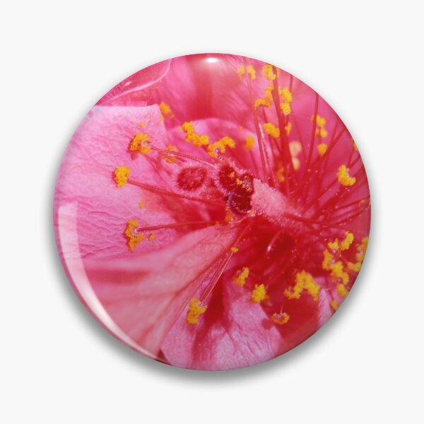 Item preview, Pink Perfection, Hibiscus, Wollongong, Australia. designed and sold by kaysharp.