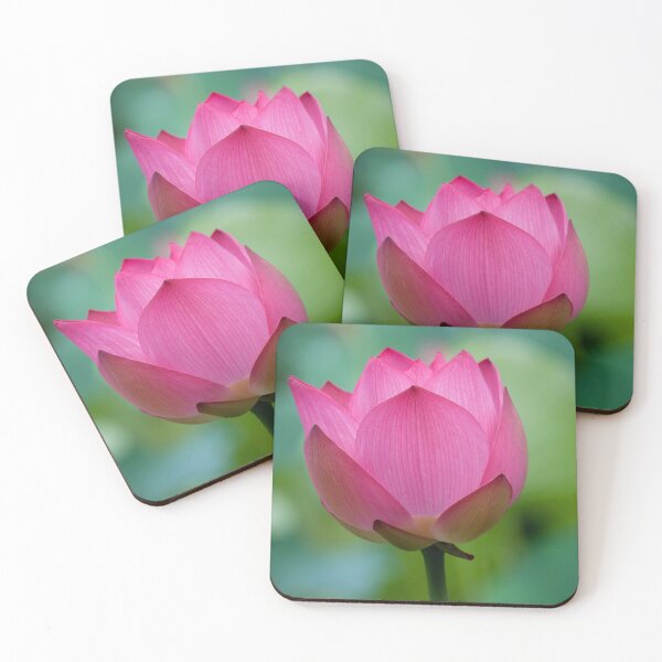 Item preview, Purity Rose designed and sold by jasonksleung.