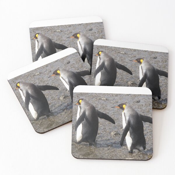 Item preview, King penguin pair walking designed and sold by Speedy.
