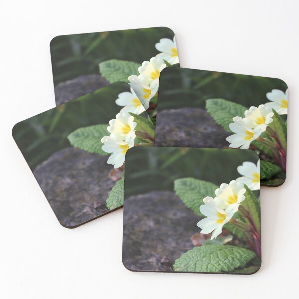 Item preview, Yellow Primroses	 designed and sold by pinkal.