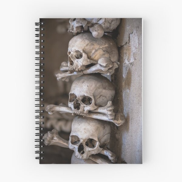 Item preview, Sedlec Ossuary, Kutna Hora, Czech Republic designed and sold by jasonksleung.