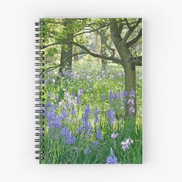Item preview, Camassia Leichtlini in the early morning light. designed and sold by jmwilesphotos.