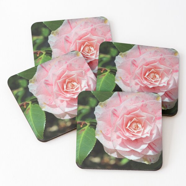 Item preview, Camellia Japonica	 designed and sold by pinkal.