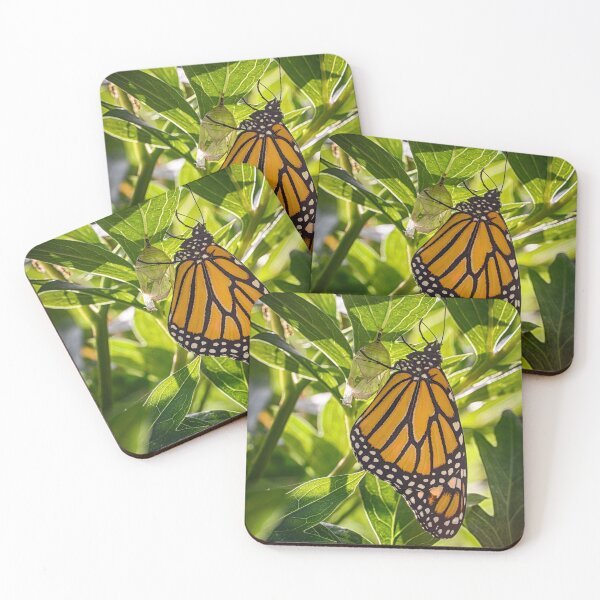 Item preview, Monarch Butterfly 2 designed and sold by Robert Alsop.
