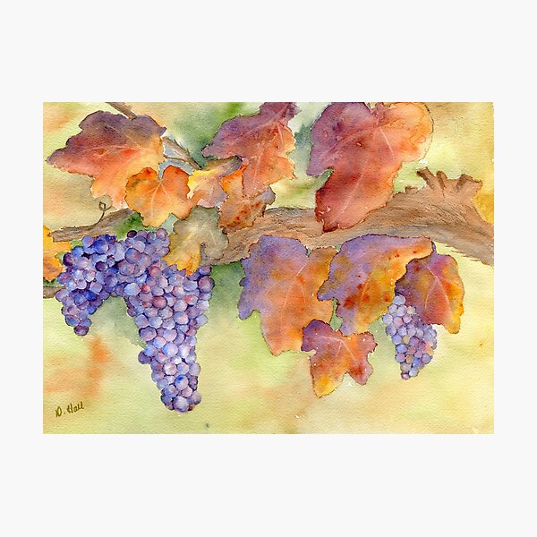 Item preview, Fall Grape Harvest designed and sold by Diane Hall Watercolors.