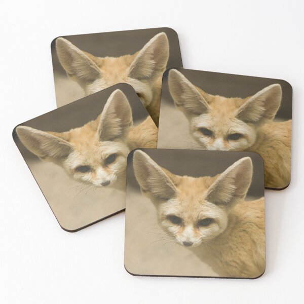 Item preview, Desert Fox designed and sold by Hann Regan  Photography.