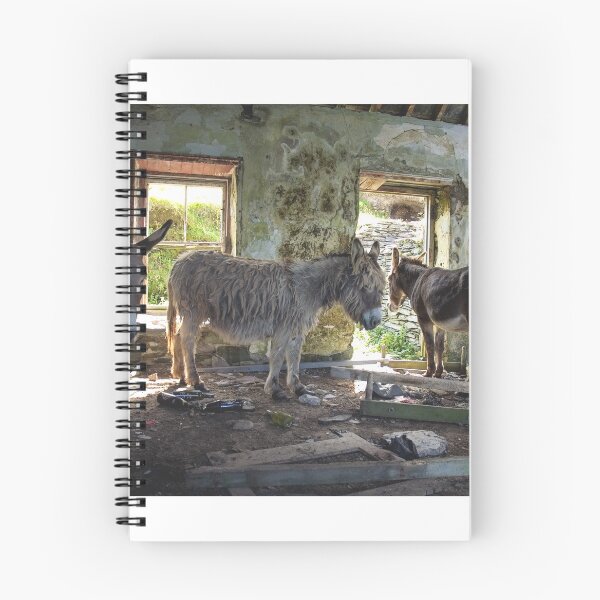 Item preview, Donkeys of Blasket designed and sold by Shay Murphy.