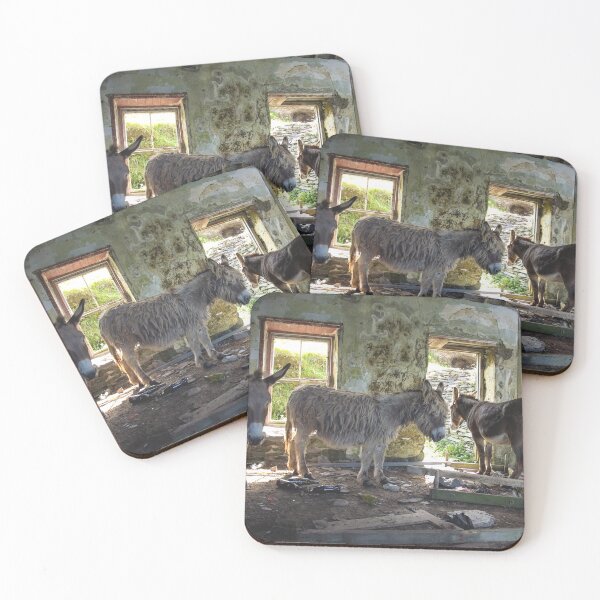Item preview, Donkeys of Blasket designed and sold by Shay Murphy.