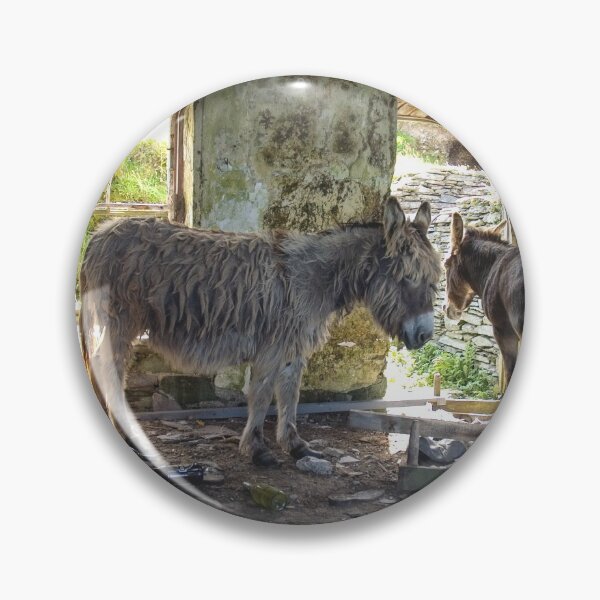 Item preview, Donkeys of Blasket designed and sold by Shay Murphy.
