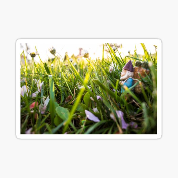 Big Meadow Roy Sticker