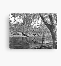 Beauty At The Lake Metal Print