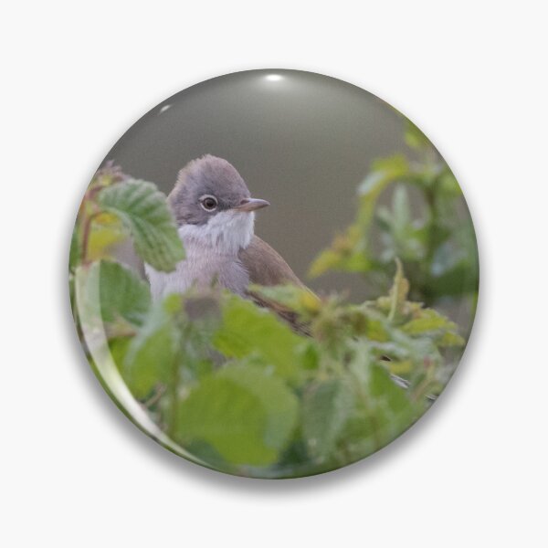 Item preview, Whitethroat designed and sold by LaurenTucker.
