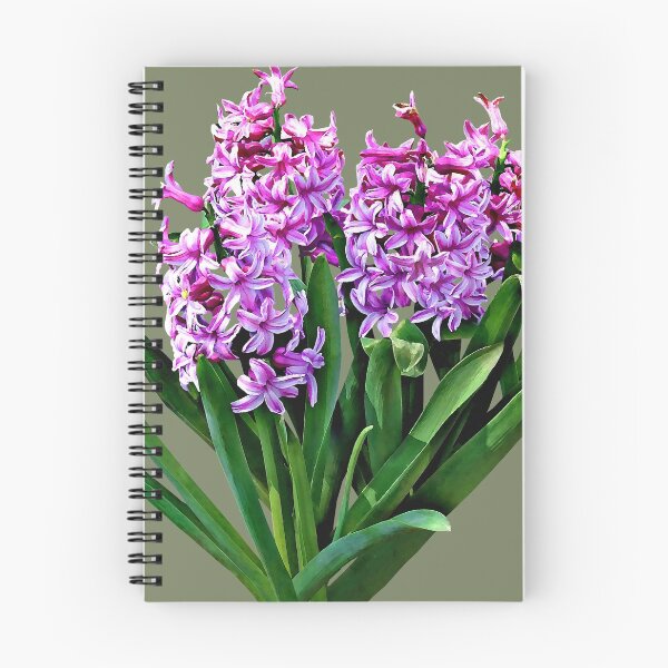 Item preview, Group of Pink Hyacinths designed and sold by Susan Savad.